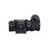 Sony Alpha A9 Mark III Body